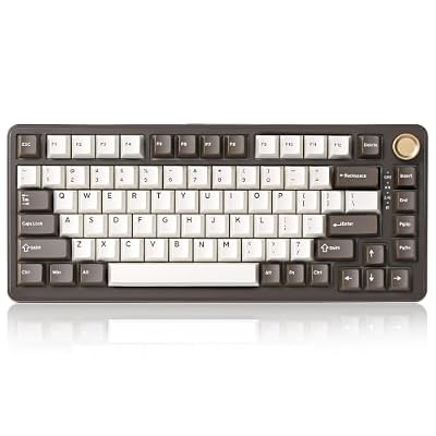 YUNZII B75 PRO Wireless Mechanical Keyboard,75% Layout with Knob,Hot Swap Gasket Structure,Creamy Pre-lubed Switches,RGB Backlit,Bluetooth/Type-C/2.4G for Win/Mac (Coffee Brown, Milk Switch)
