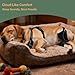 Chirarra Dog Knee Brace for Torn ACL & CCL Hind Leg Support - Adjustable Non-Slip Harness with Inner Splint, Recovery for Hip Dysplasia, Luxating Patella, Injury & Surgery - Fits Medium to Large Dogs