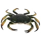 BESPORTBLE Modelo de Simulación de Cangrejo Plástico para Niños Pequeños, Figura de Cangrejo Educativa y Decorativa, Tamaño Pequeño, Colores Brillantes, Adecuado para Aprendizaje y Juegos,