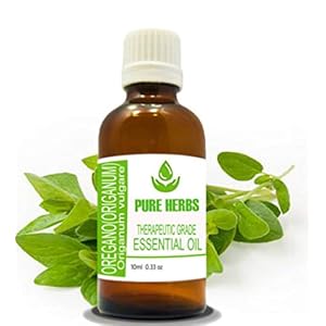 Pure Herbs Oregano (Origanum VULGARE) Pure & Natuurlijke Therapeutische Grade Essentiële Olie 10ml