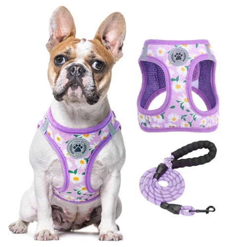 BEAUTYZOO 犬用ハーネス リードセット 小型犬 中型犬 対応 引っ張り防止 調節可能 通気性メッシュ 軽量 反射材付き 簡単着脱 抜けない 快適 おしゃれ 散歩 訓練 老犬介護 歩行補助 夏用 チェック柄 ペット用品(パープルの花 L)