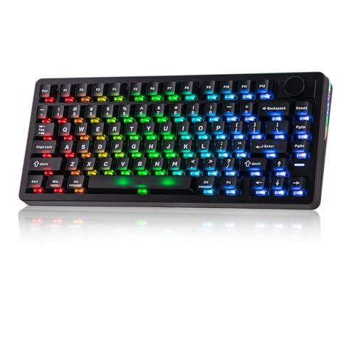 Image of EPOMAKER HE75 V2 Hall Effect Gaming Keyboard, 8K Polling & 0.1ms, 8000mAh & 2.4Ghz /BT, Hot Swap Key & Knob, 0.005mm Adjustable Actuation, Rapid Triggering, Creamy & Thocky (Black)