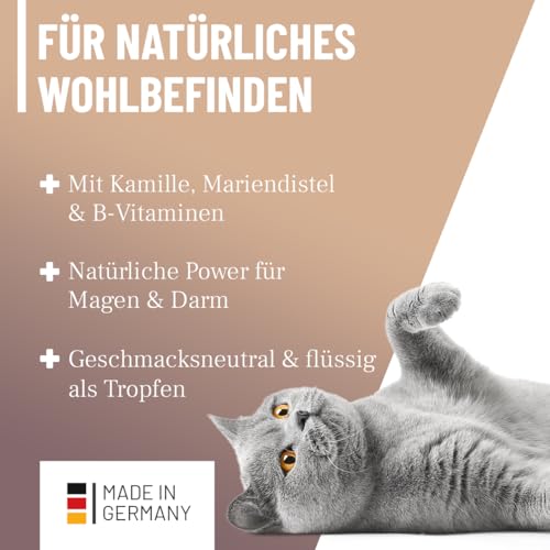 ReaVET Magen & Darm Tropfen Liquid für Katzen 50ml - sekundierend bei Durchfall oder Blähungen, natürliche Darmregulierung, Darmsanierung Katze, unterstützt die Darmflora