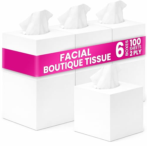 SNH Packing Cubic Box Facial Tissue Pack of 6 2 Ply x 100 Tissues Each Cube Box White