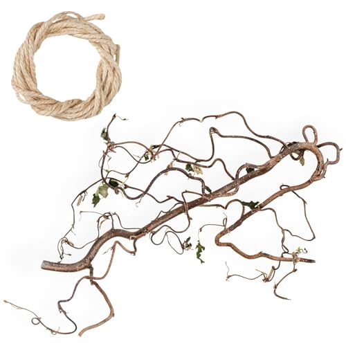 Echter Korkenzieherhasel AST zum Aufhängen Korkenzieherhasel Zweig Osterndeko | Dekozweige für Vase ca. 40cm - 50cm Echter Korkenzieherhasel AST zum Aufhängen Korkenzieherhasel Zweig Osterndeko | Dekozweige für Vase ca. 40cm - 50cm