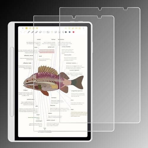 LaoShuSheng Anti-Glare Screen Protector for XPPen Magic Note Pad Tablet 10.95" (2025) | Anti Fingerprint | Scratch Resistant | Paper Feel | Nano Matte PET Soft Film | 2-Pack | (Matte)