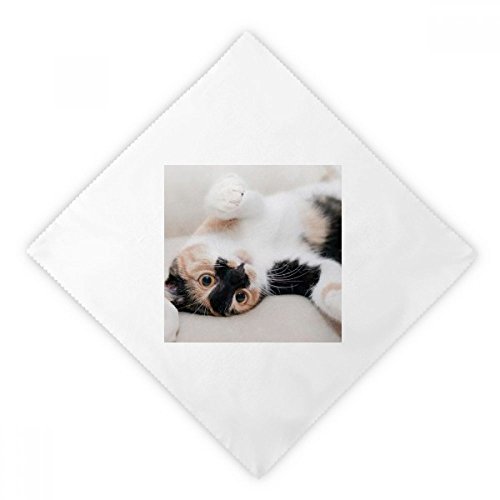 Serviette de table réutilisable chat pour réduire les déchets - 2