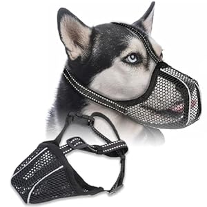 MAEXUS Maulkorb für Große Hunde