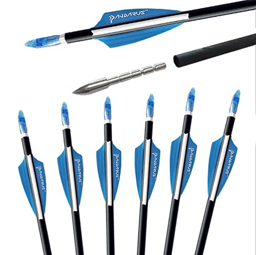 ACCMOS Profesional Apuntando Flechas, 30 Pulgadas Flecha de Carbono, ID 4,2 mm/0,166" Flecha de Tiro con Arco Spine 200-1200 Rectitud 0,001, para Disparo Competencia12 pcs (Spine 700 30inch) Cover