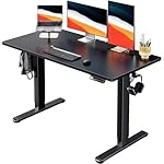 HUANUO Electric Standing Desk, 48" x 24" Whole Piece Desktop, Adjustable Height Computer Desk, 4 Height Memory Settings, Sit Stand Up Desk for Home Office, Black