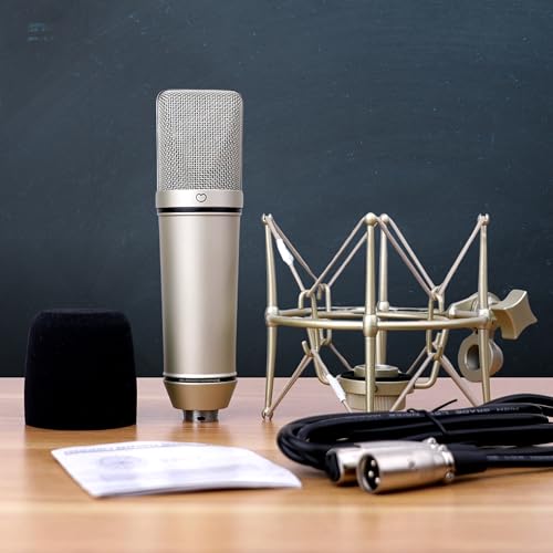 Melon Audio 87 Studio Condenser Microphone - Prefect For Quality Vocal Recording thumb #6