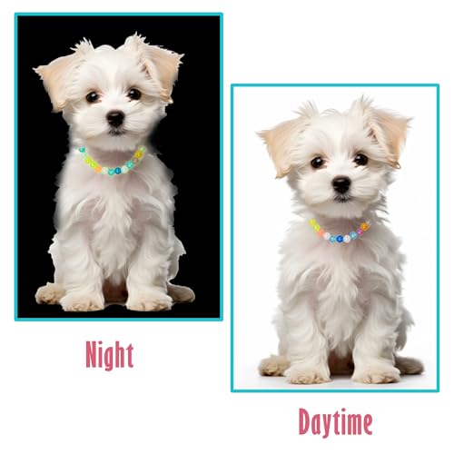30cm Leuchtende Bunte Perlen Haustierhalskette – Hundehalsband und Katzenhalsband, Glow-in-The-Dark für Kleine Hunde, Katzen & Welpen, Sichtbar & Stilvoll bei Nacht, Alltagstauglicher Haustierbedarf