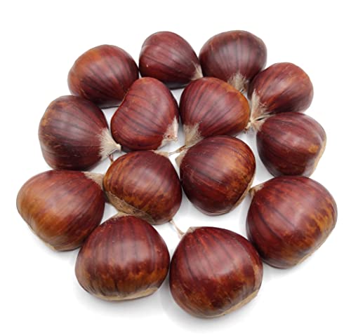 Castañas Dulces Frescas Ecológicas 1Kg - 10Kg (5 Kg)