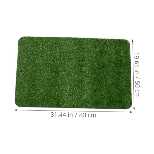 Tapis entrée amortissant résistant ifundom pour entrée propre