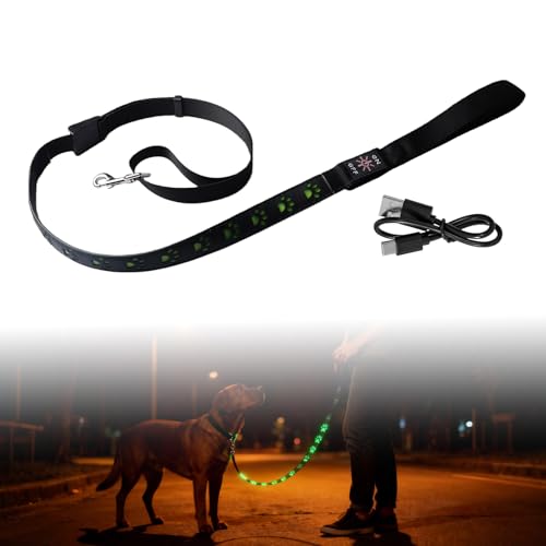 Guinzaglio a LED per cani – Cavo USB ricaricabile e riflettente (1,2 m), manico impermeabile e imbottito, ideale per passeggiate notturne con grandi, medie e piccole