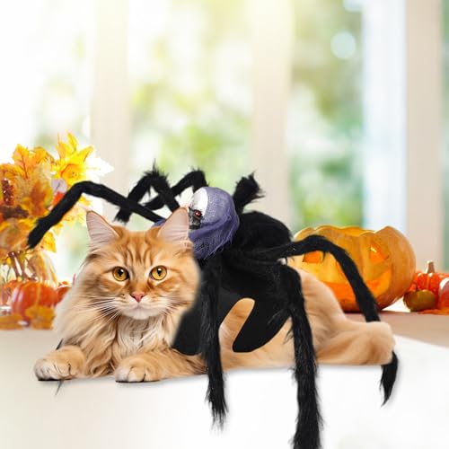 Halloween Spinne Kostüm für Hund Katze, Lila Schädel Kostüm für Hunde und Katzen, Cosplay Spider Kostüme für Hunde und Katzen, Haustierkostüm für Halloween Cosplay (M)