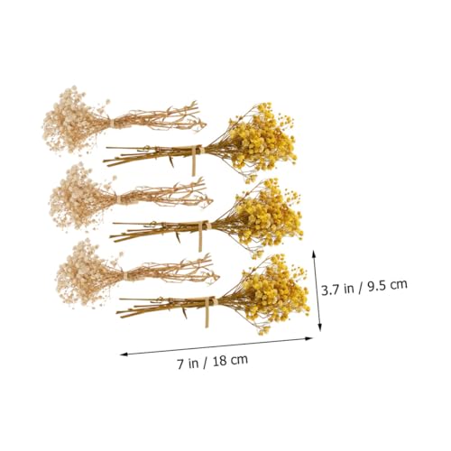 Bouquets de flores secas mini Gypsophila 6 piezas miniatura 4