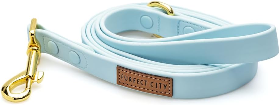Dog Leash Durable Waterproof PVC 5ft Long, Quick Clean Strong Metal Hook, Stylish Gold Hardware, Heavy Duty for Small to Large Breeds (Blue)