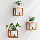 KAZAI. Wandvasen -Lille- | Hängende Blumentöpfe in Echtholzrahmen | 3-teiliges Übertopf-Set aus Keramik und Holz für Wand, Tisch und mehr | Braun