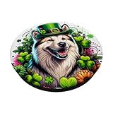 Zoom IMG-1 canadian eskimo dog st patricks Zoom IMG-1 canadian eskimo dog st patricks