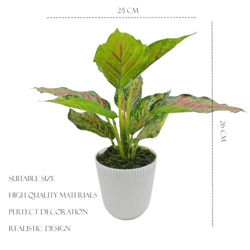 Image of KARP Artificial Potted Plants, 26Cm Height Mini Faux 10-Leaf Dieffenbachia Plant with White Pot Home Decor, Indoor Artificial Ornamental Plants for Living Room, Office Desk & Bathroom, Decorative