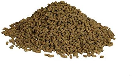 Kalmbach Feeds Equiferm XL Prebiotic and Probiotic for Horse, 7.5 lb - 2