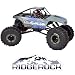 DANCHEE RidgeRock - 4WD Electric Rock Crawler - 1/10 scale - RTR