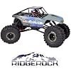 Redcat Racing Danchee Ridgerock 1/10 Scale 4WD Electric RC Rock Crawler RC Truck RTR with 2.4GHz Radio, Dual Motors, 4-Wheel Steering, USB Charger with RC Crawler Li-ion Battery