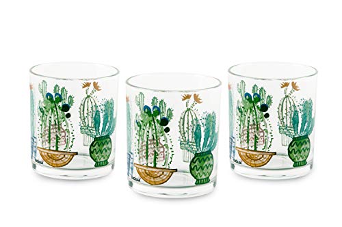 Excelsa Cactus - Juego de 3 vasos de cristal