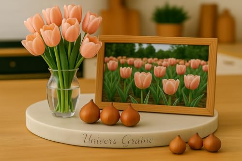 Lot de 10 Bulbes de TULIPE SAUMON - Bulbe de printemps - Calibre 10/11 - Fleur Jardin - 888