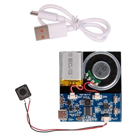 GUTAROR 16MB Recording Module Cover