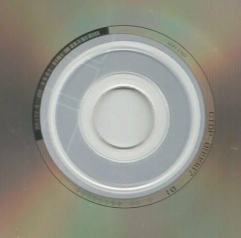 Miniatura 4 de Standing on the Shoulder of Giants