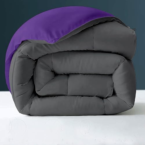 Image of Day Care - 400 GSM Hotel Quality-Down Alternative Reversible Comforter (90 inch x 90 inch Inches /228cm x 228cm) - Comforter Queen Size|Purple /Dark Grey