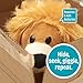 R&R Games Hide & Seek Pals - Loki The Lion Family Game