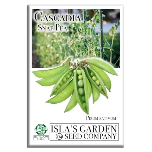 Grow Crisp, Sweet Cascadia Snap Peas – 50+ Non-GMO Heirloom Seeds by Isla’s Garden Seeds, Tender Pods for Snacking, Salads & Stir-Fries, Easy Cool-Season Garden Favorite