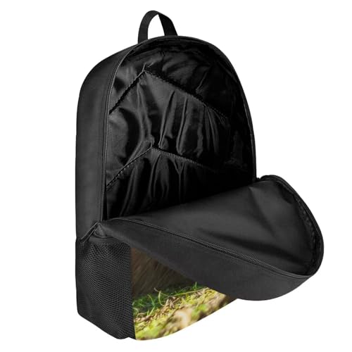 Kids Animal Backpack for School Student 17 Inch Novelty Causal Capybara Backpack for Boys Girls Padded Back & Straps Lightweight Cute Bookbag with Side Pocket Kids Daypack3