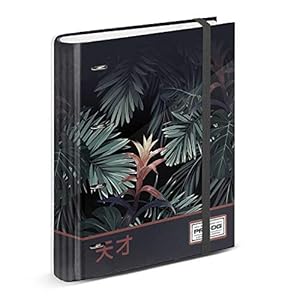 Pro-Dg Segregator Tokya 4-Pierścieniowy