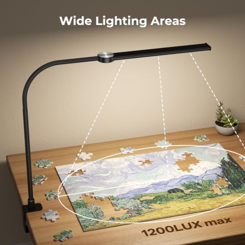 Image of LED Desk Lamp with Clamp for Home Office, Clip on Desk Lights, Black