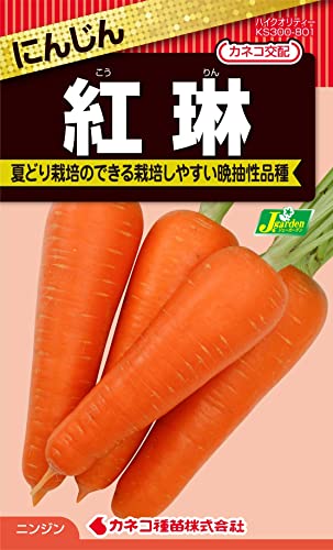 JlRc |E KS300V[Y ɂ񂶂 g 300 801