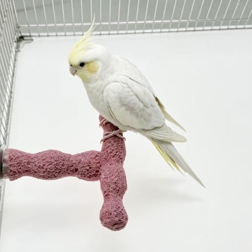 Image of 4 Bird Beak Grinding Stone Parrot Perch Stand for Small Birds
