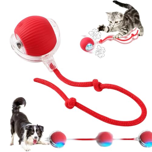 Interactive Cat Dog Ball Toy 360 Smart Rolling Pet Ball with Tail