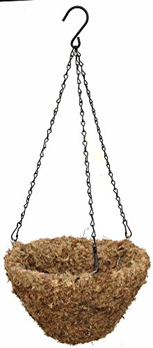 Topiary Art Works 12" Sphagnum Moss Hanging Basket