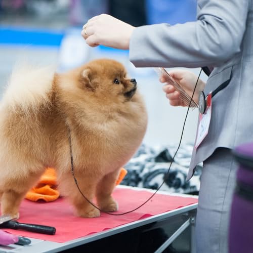 Chris Christensen 000 7.5 Inch Greyhound Style Fine/Coarse Colored Butter Comb thumb #4