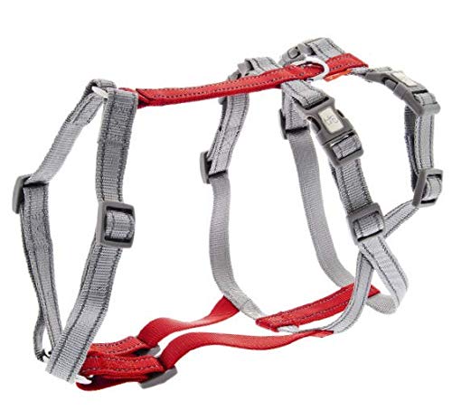 Ferribiella pettorina anti fuga non si sfila - taglia M bicolor grigio e rosso - nastro in nylon 4 chiusure