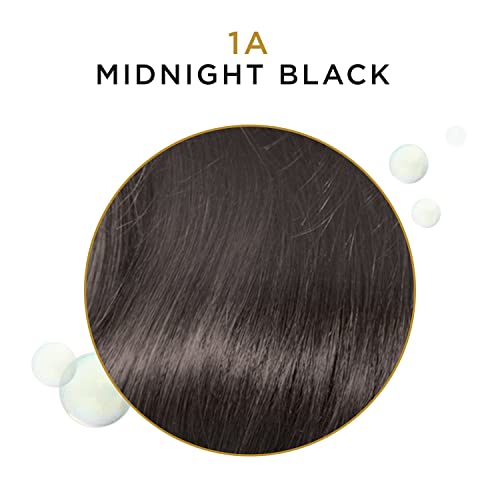 Clairol Professional 99240013652 Beautiful Advanced Gray Solutions 1A Midnight Black thumb #2