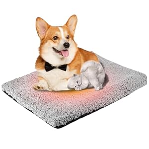 Bordeag CA-Maotan Koc Termiczny dla Zwierząt 70x48 cm