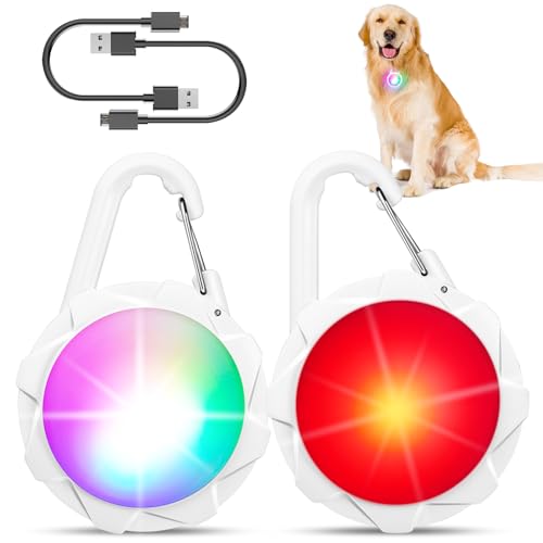 Dog Lights for Night Walking