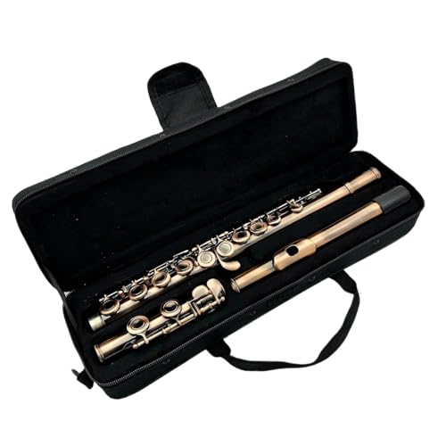 16 L[N[Yhz[ C `[t[gAeB[N{fBt[gyP[Xt S҃t[g