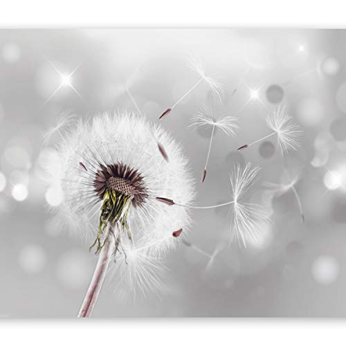 Fotomural 350x245 cm - 3 tres colores a elegir - Papel tejido-no tejido. Fotomurales - Papel pintado - Pusteblume Blumen Natur b-C-0072-a-b
