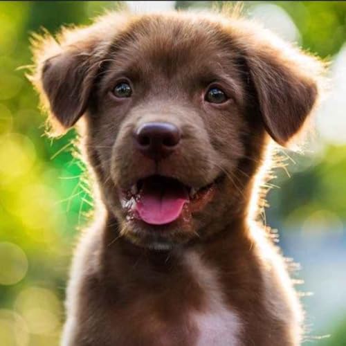 Episode 205: Fast and Furious - More Inspiration Coming Fast